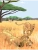 Импортировано из Wildberries Импортировано из Wildberries