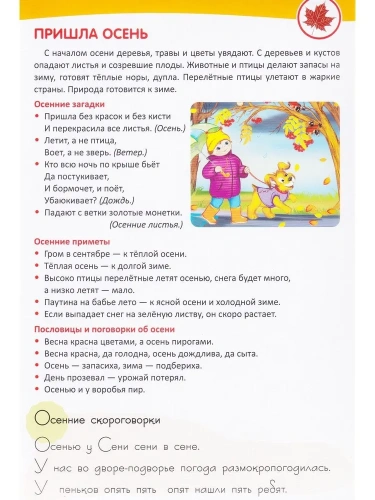 Ширмочки информационные. Времена года: Осень (1000х330 мм)- купить в магазине Кассандра, фото, 9785994921418, 