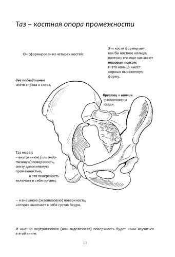 Книга упражнений для прокачки мышц тазового дна. Французская система полного физического восстановления для женщин- купить в магазине Кассандра, фото, 9785041870683, 