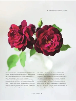 Импортировано из Wildberries