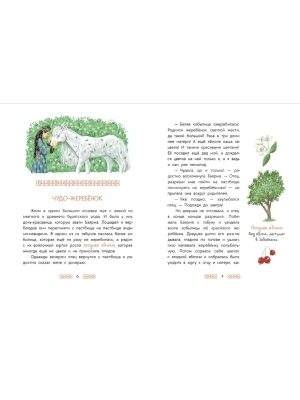 Импортировано из Wildberries