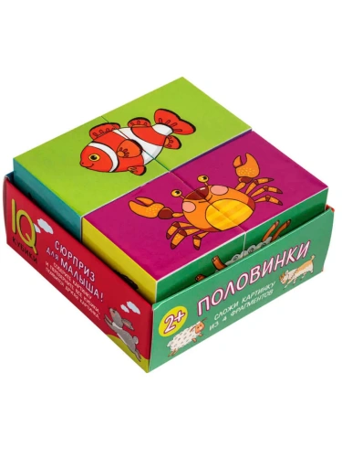 Умные кубики в поддончике. 4 штуки. Половинки- купить в магазине Кассандра, фото, 9785811275069, 