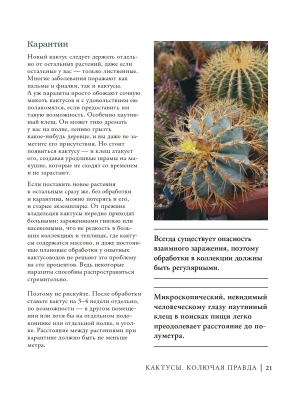 Фотография из отзыва покупателя