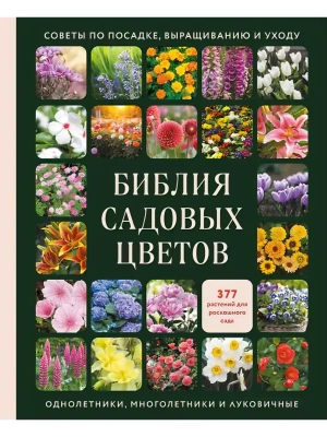Фотография из отзыва покупателя