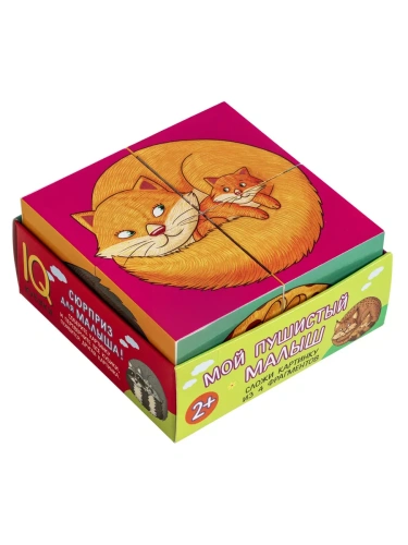 Умные кубики в поддончике. 4 штуки. Мой пушистый малыш (new)- купить в магазине Кассандра, фото, 9785811280919, 