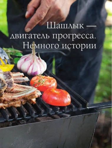 Мясо на мангале, гриле, в тандыре и казане- купить в магазине Кассандра, фото, 9785041722388, 