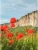 Импортировано из Wildberries Импортировано из Wildberries