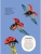Импортировано из Wildberries Импортировано из Wildberries