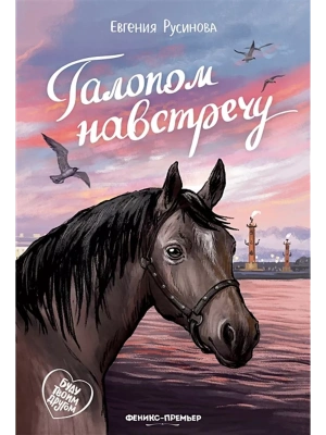 Галопом навстречу — фото, ISBN 9785222433942