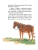 Импортировано из Wildberries Импортировано из Wildberries
