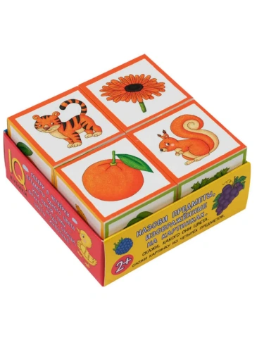 Умные кубики в поддончике. 4 штуки. Что какого цвета?- купить в магазине Кассандра, фото, 9785811280933, 