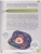 Импортировано из Wildberries Импортировано из Wildberries