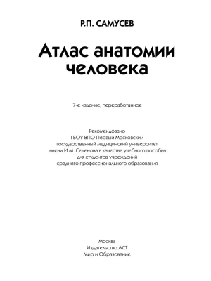 Фотография из отзыва покупателя