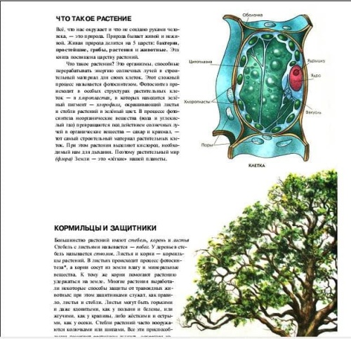 Полная энциклопедия.Растения- купить в магазине Кассандра, фото, 9785699886951, 