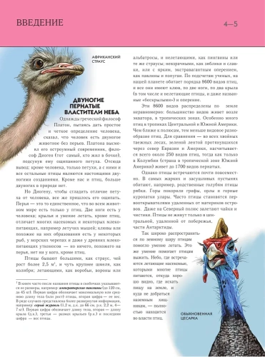 Полная энциклопедия.Птицы- купить в магазине Кассандра, фото, 9785699833405, 
