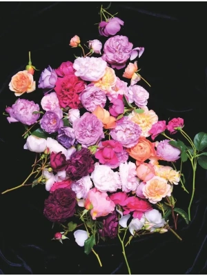 Импортировано из Wildberries