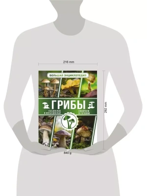 Импортировано из Wildberries
