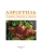 Импортировано из Wildberries Импортировано из Wildberries
