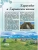 Импортировано из Wildberries Импортировано из Wildberries