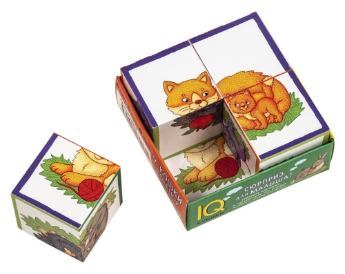 Умные кубики в поддончике. 4 штуки. У кошки котёнок- купить в магазине Кассандра, фото, 9785811280131, 