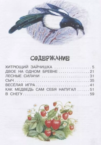 Лесные сказки- купить в магазине Кассандра, фото, 9785171334062, 