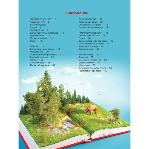 Красная книга России. Энциклопедия для детей.- купить в магазине Кассандра, фото, 9785378321100, 