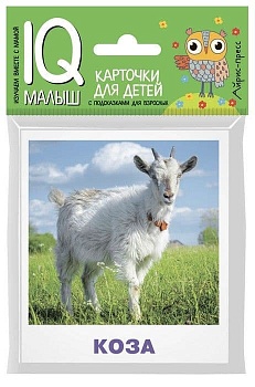 Умный малыш. Домашние животные - купить в магазине Кассандра, фото, 9785811265039, 