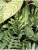 Импортировано из Wildberries Импортировано из Wildberries