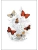 Импортировано из Wildberries Импортировано из Wildberries