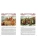 Импортировано из Wildberries Импортировано из Wildberries