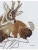 Импортировано из Wildberries Импортировано из Wildberries