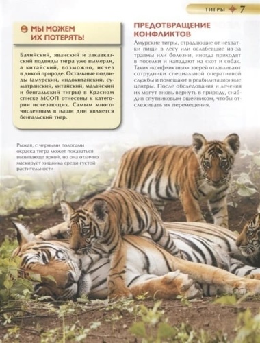 Красная книга. Детская энциклопедия- купить в магазине Кассандра, фото, 9785353102922, 