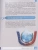 Импортировано из Wildberries Импортировано из Wildberries