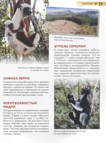 Красная книга. Детская энциклопедия- купить в магазине Кассандра, фото, 9785353102922, 