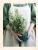 Импортировано из Wildberries Импортировано из Wildberries