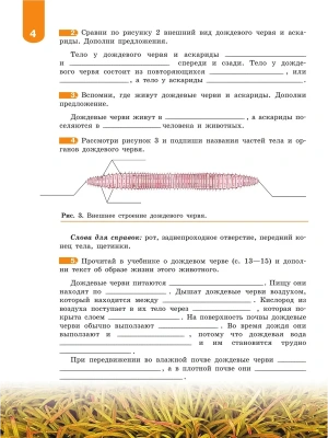 Импортировано из Wildberries