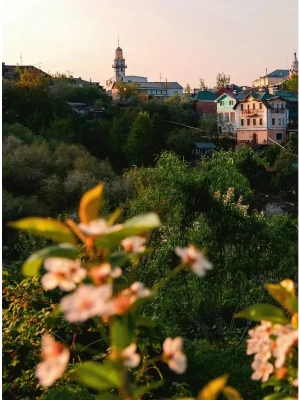 Импортировано из Wildberries