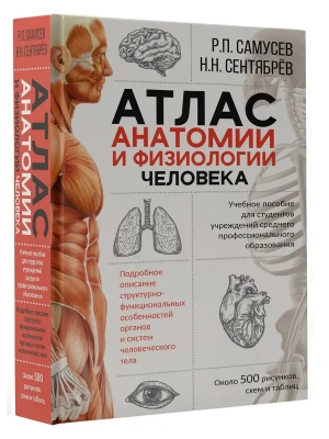 Атлас анатомии и физиологии человека. Учебное пособие для студентов учреждений среднего профессионал- купить в магазине Кассандра, фото, 9785171225872, 