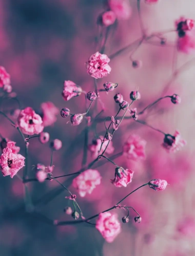 Wabi Sabi. Японские секреты истинного счастья в неидеальном мире- купить в магазине Кассандра, фото, 9785040998036, 