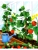 Импортировано из Wildberries Импортировано из Wildberries