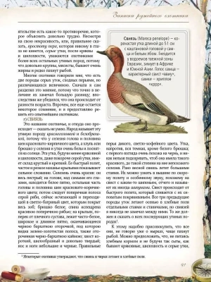 Импортировано из Wildberries