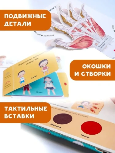 Все секреты человека- купить в магазине Кассандра, фото, 9785171543556, 