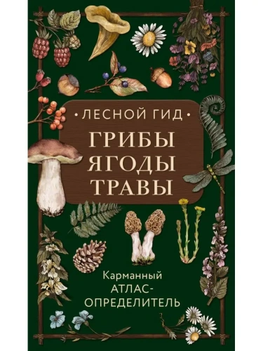 Лесной гид: грибы, ягоды, травы. Карманный атлас-определитель- купить в магазине Кассандра, фото, 9785699997015, 