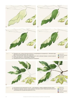 Импортировано из Wildberries