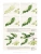 Импортировано из Wildberries Импортировано из Wildberries