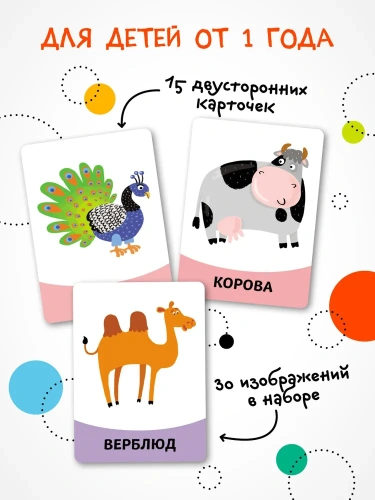 Развивающие карточки. Животные- купить в магазине Кассандра, фото, 9785431535437, 
