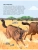 Импортировано из Wildberries Импортировано из Wildberries