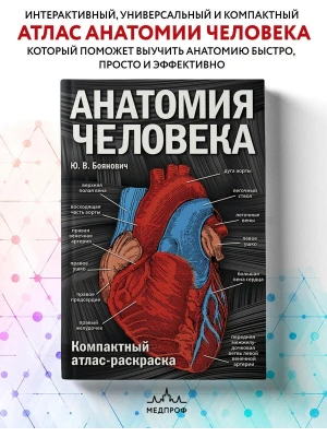 Анатомия человека: компактный атлас-раскраска- купить в магазине Кассандра, фото, 9785699986484, 