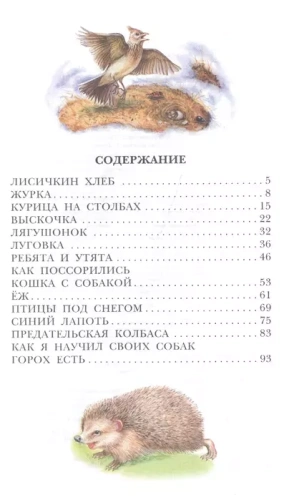 Лисичкин хлеб- купить в магазине Кассандра, фото, 9785171358969, 