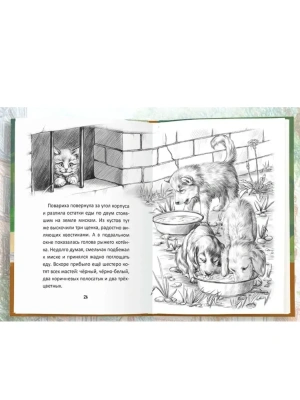 Импортировано из Wildberries